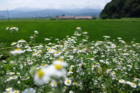 木島平村の風景