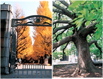 image005.png,image004.png