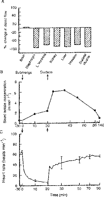figure15