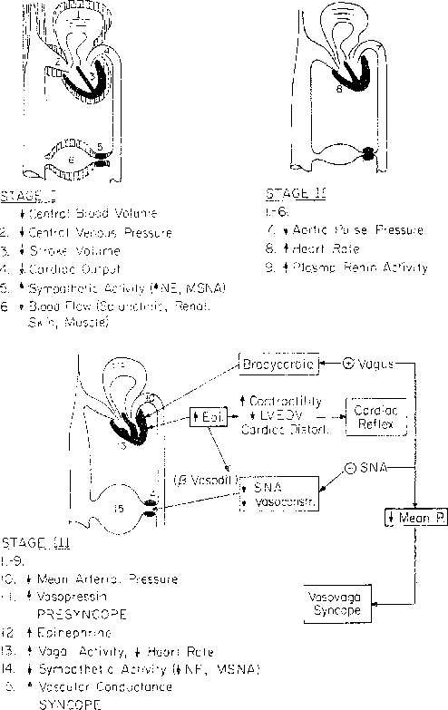 figure39