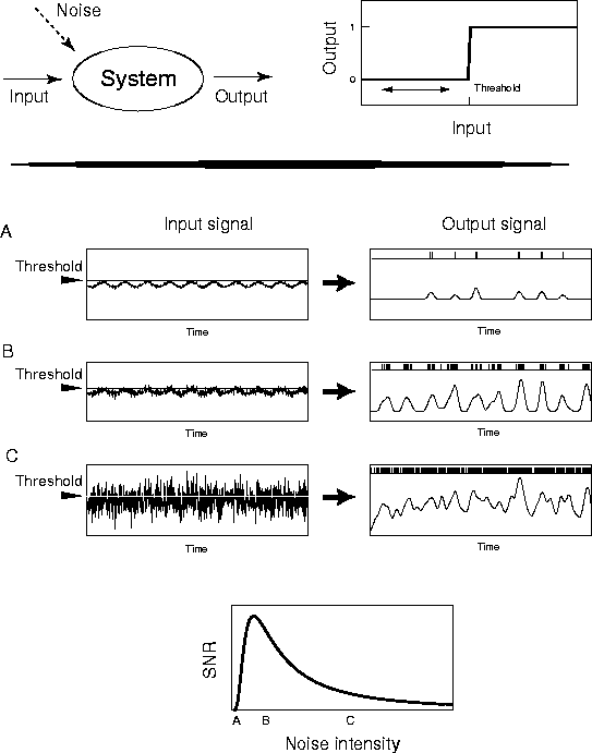 figure8