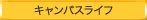 LpXCt