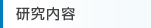 研究内容